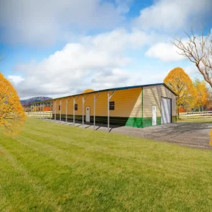 42x70x12/9 Metal Garage